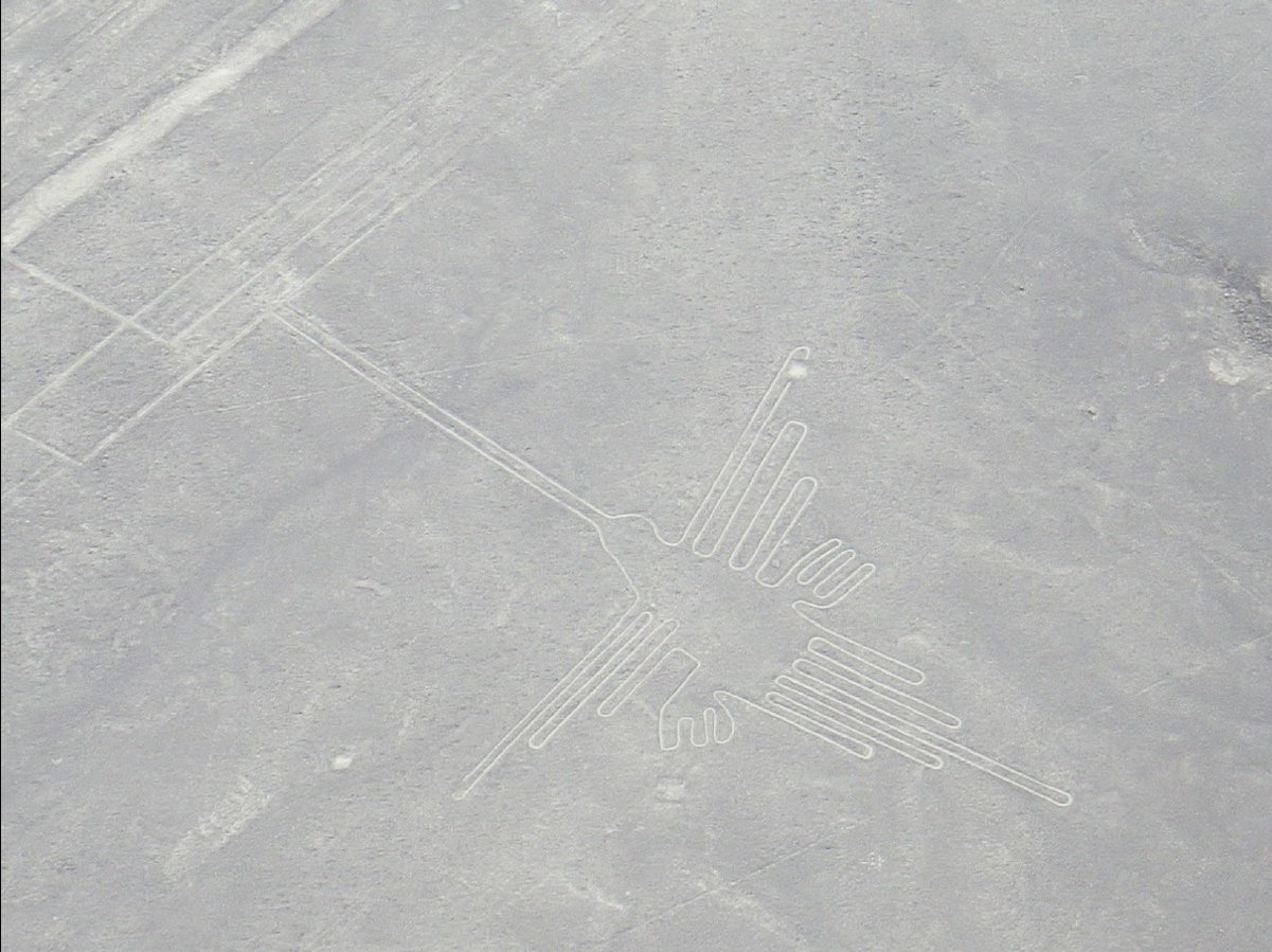 Nasca Lines14 - Humming Bird
